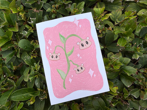 Beary Spring Beary Spring