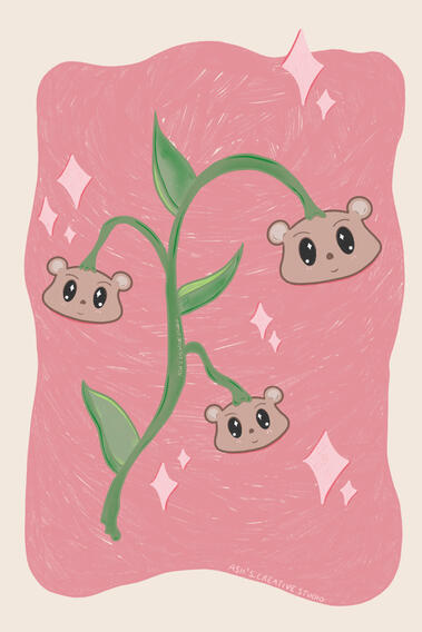 Beary Spring Beary Spring